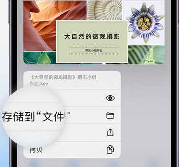 魏县apple维修中心分享iPhone文件应用中存储和找到下载文件