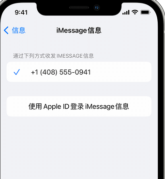 魏县apple维修iPhone上无法正常发送iMessage信息 