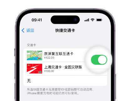 魏县apple维修点分享iPhone上更换Apple Pay快捷交通卡手绘卡面 