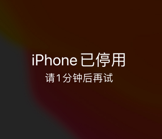 魏县苹果手机维修分享:iPhone 显示“不可用”或“已停用”怎么办？还能保留数据吗？ 