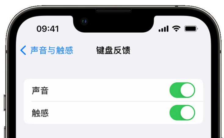 魏县苹果手机维修分享iPhone 14触感键盘使用方法 