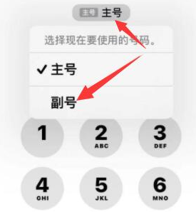 魏县苹果14维修店分享iPhone 14 Pro Max使用副卡打电话的方法 