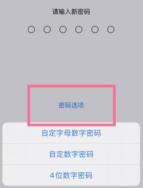 魏县苹果14维修分享iPhone 14plus设置密码的方法 