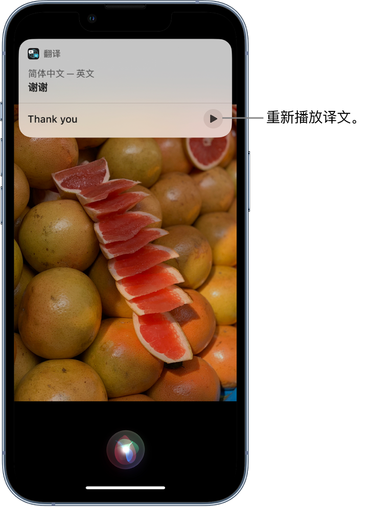 魏县苹果14维修分享 iPhone 14 机型中使用 Siri：了解 Siri 能帮你做什么 