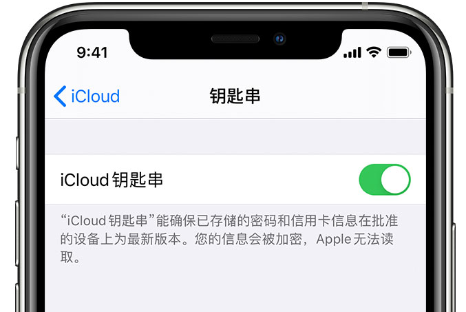 魏县苹果手机维修分享在 iPhone 上开启 iCloud 钥匙串之后会储存哪些信息 