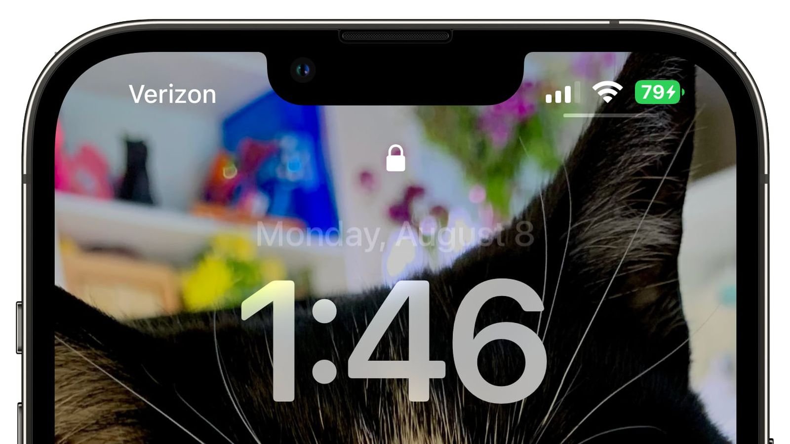 魏县苹果手机维修分享iOS 16 beta 5 支持状态栏显示电池百分比，如何开启？支持哪些机型 