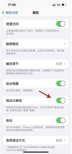 魏县苹果手机维修分享iPhone手机如何设置摇一摇删除文字 