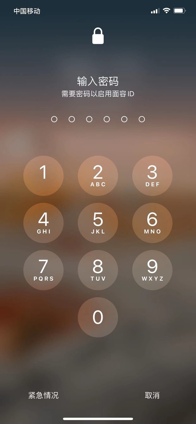 魏县苹果13维修分享iPhone 13加强锁屏功能有什么用 
