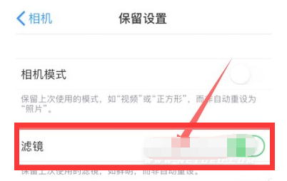 魏县苹果13维修分享iPhone13拍照有绿点是怎么回事 