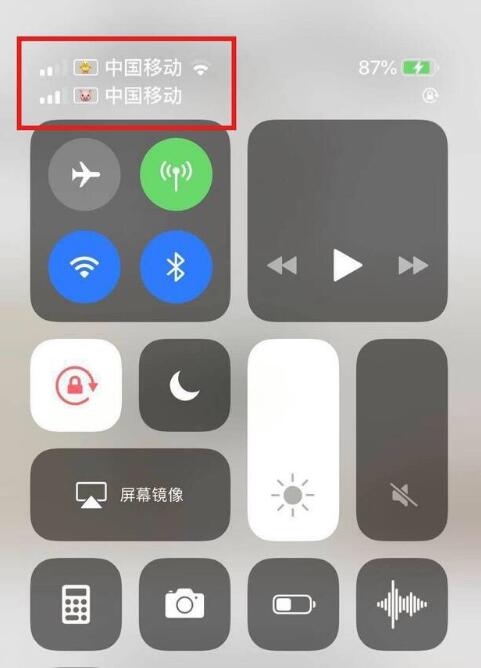 魏县苹果手机维修分享为 iPhone 12 双卡设置标签 