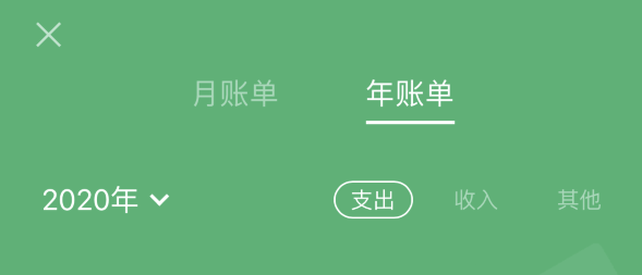 魏县苹果手机维修分享如何在 iPhone 上查看支付宝和微信年支出账单 